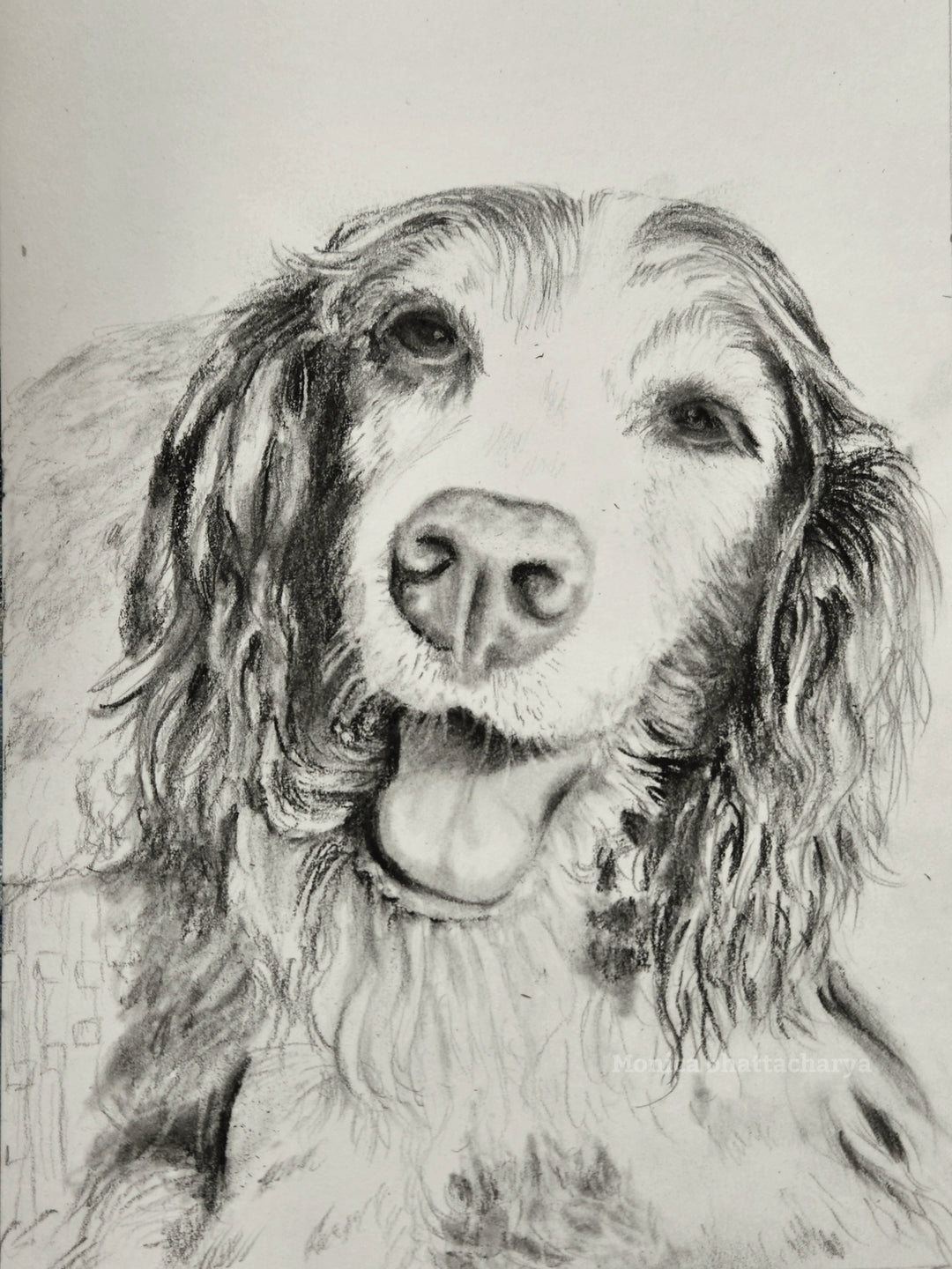 Pet portrait in pencil 1