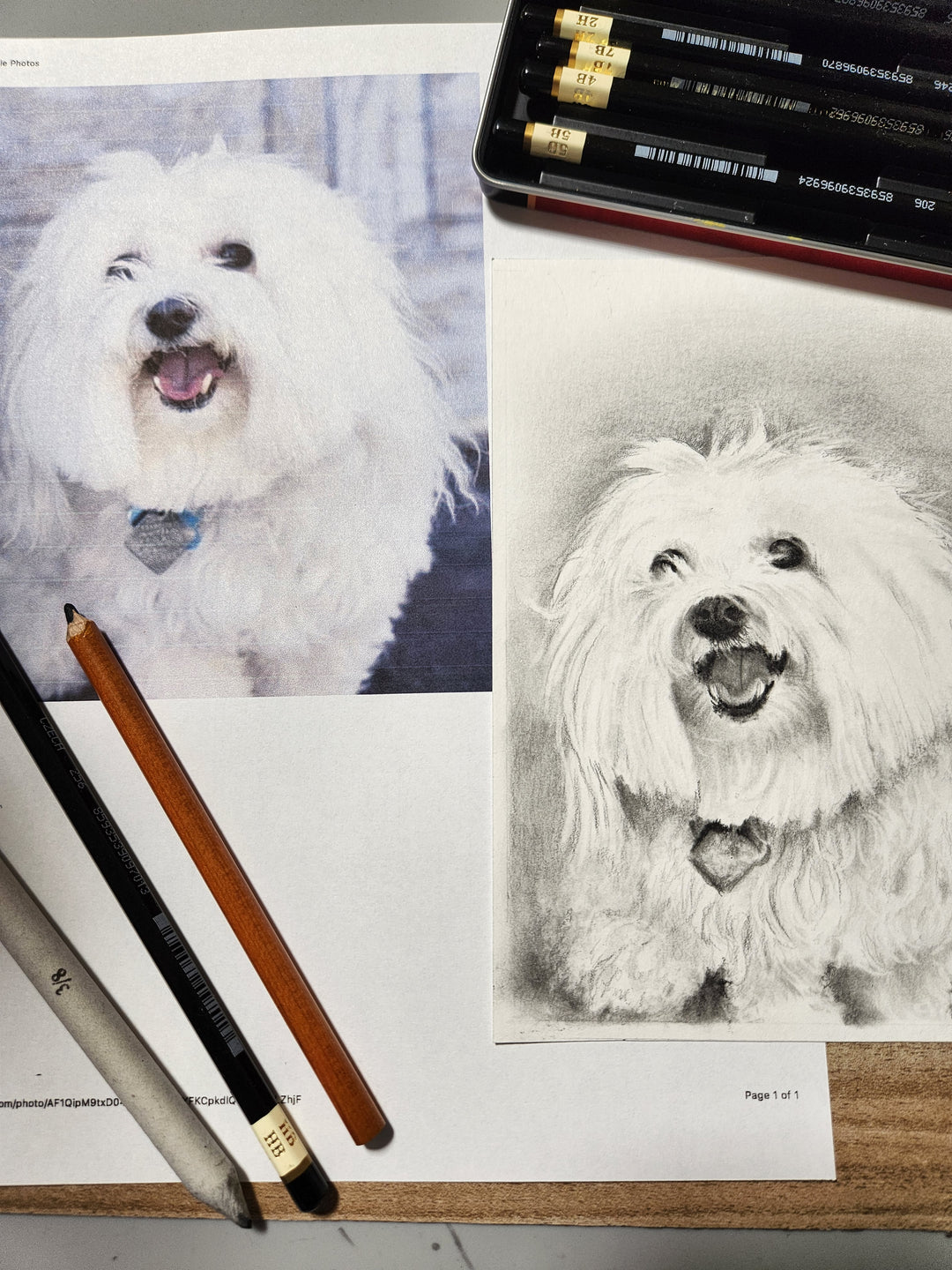 Pet portrait in pencil 2