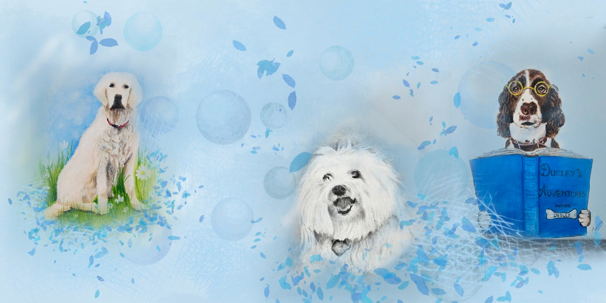 Pet Portraits