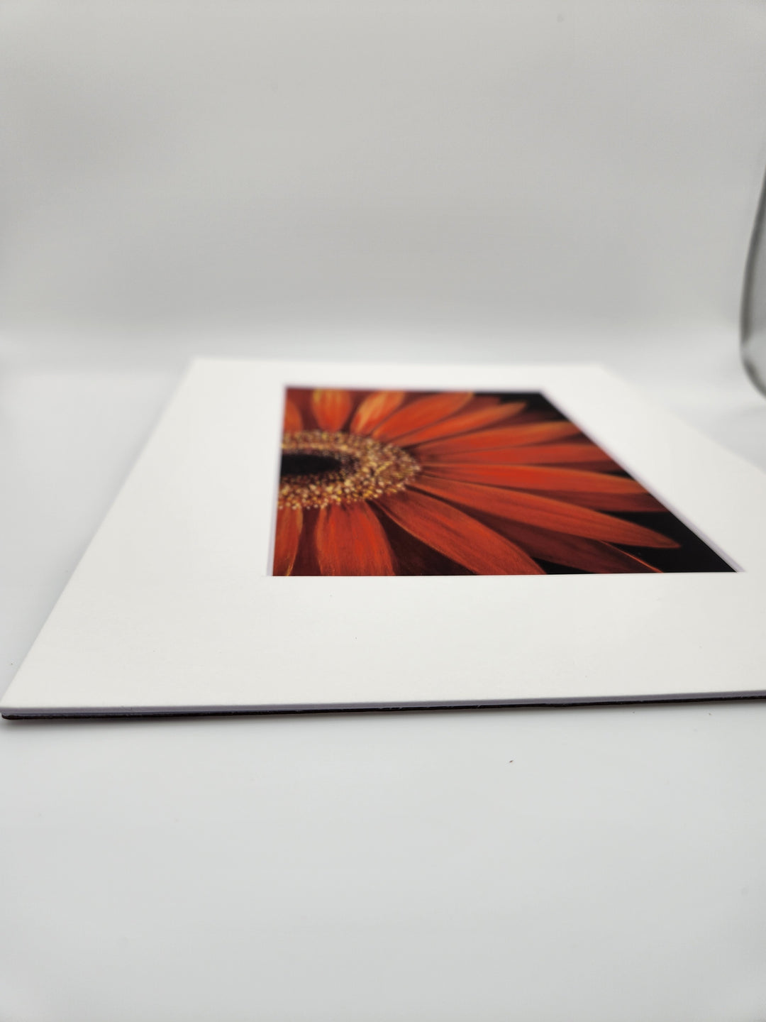 Vibrant Floral Art Print – High-Quality Giclée Wall Décor for Home &Office